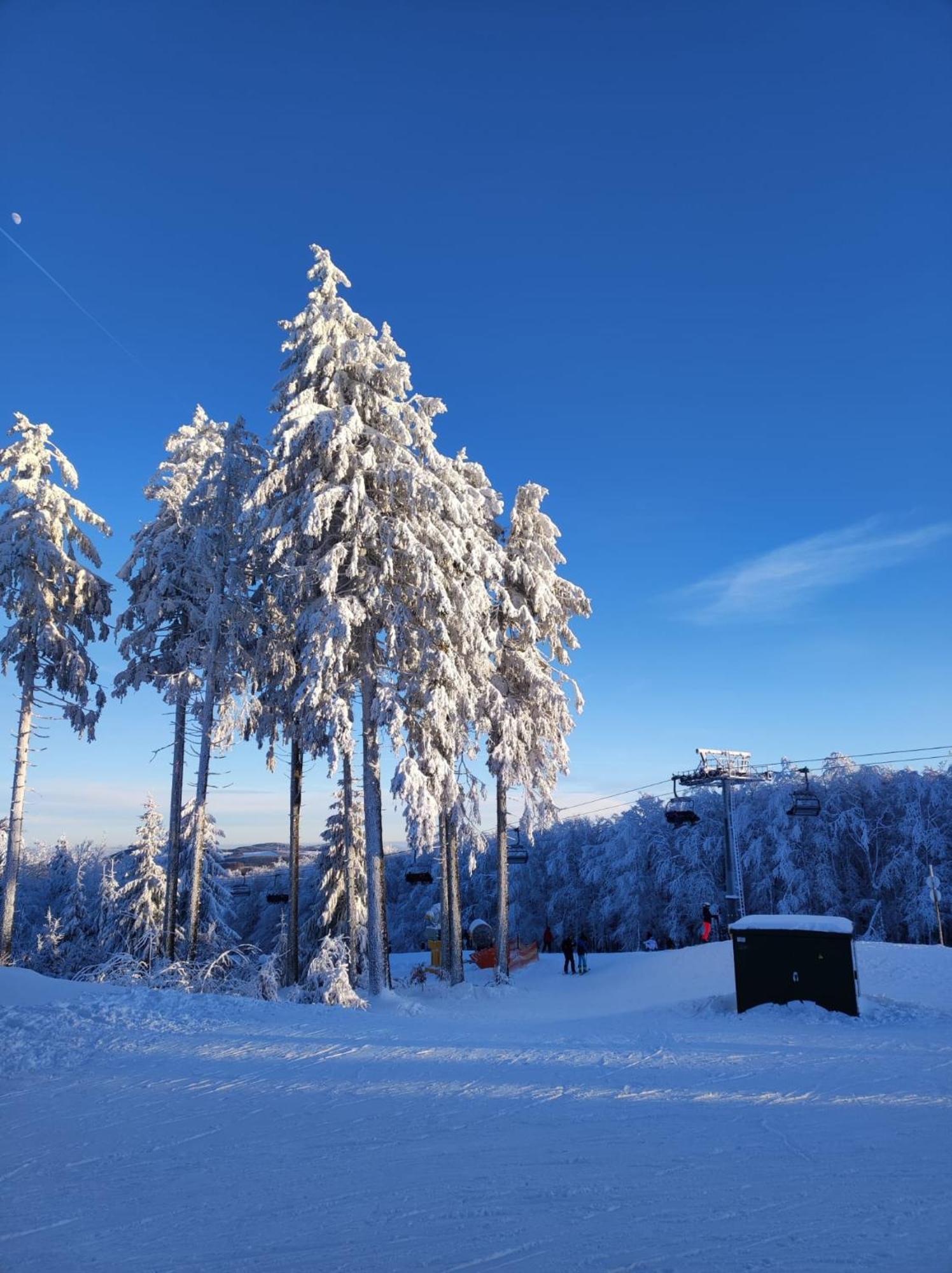 Ferienwohnung Finkeldei Winterberg Dış mekan fotoğraf