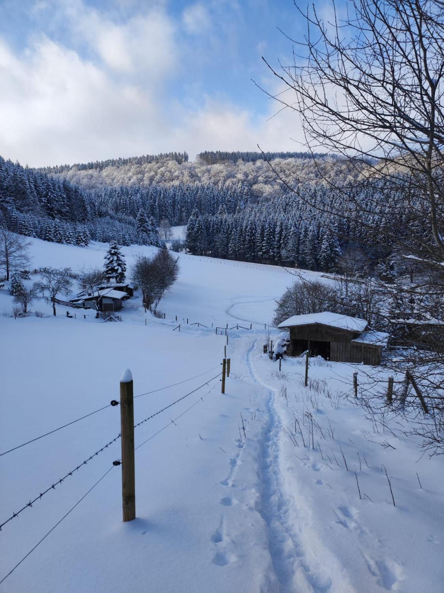Ferienwohnung Finkeldei Winterberg Dış mekan fotoğraf